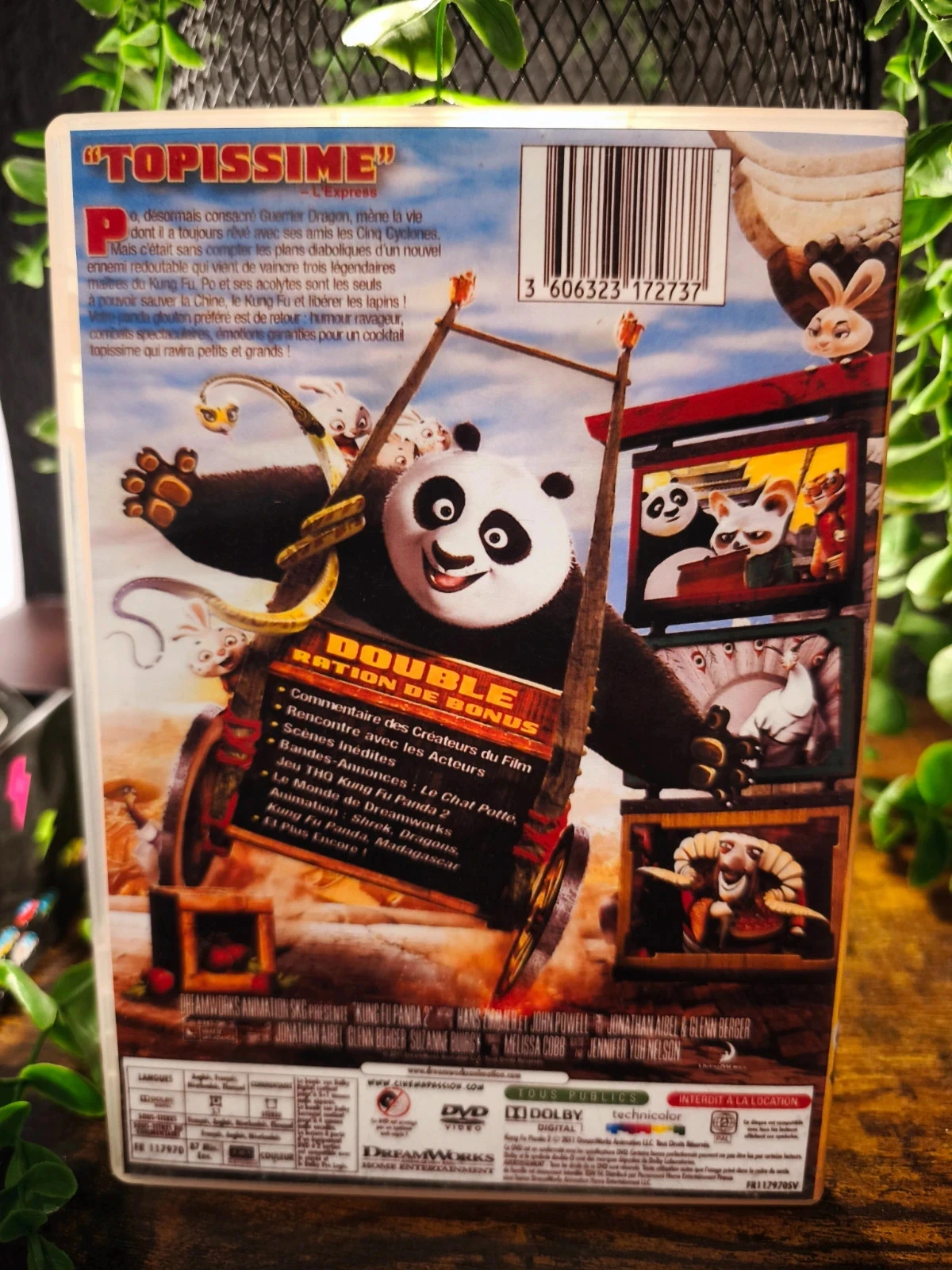 Kung fu panda 🐼 2 – photo 2